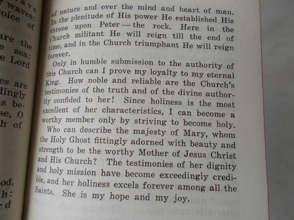 The teaching of Vatican II was in continuity with what the Church already taught. There, 1941 Office Book for Dominican Sisters published by the Dominican Sisters of Racine, WI, speaks of the holiness of the Church.